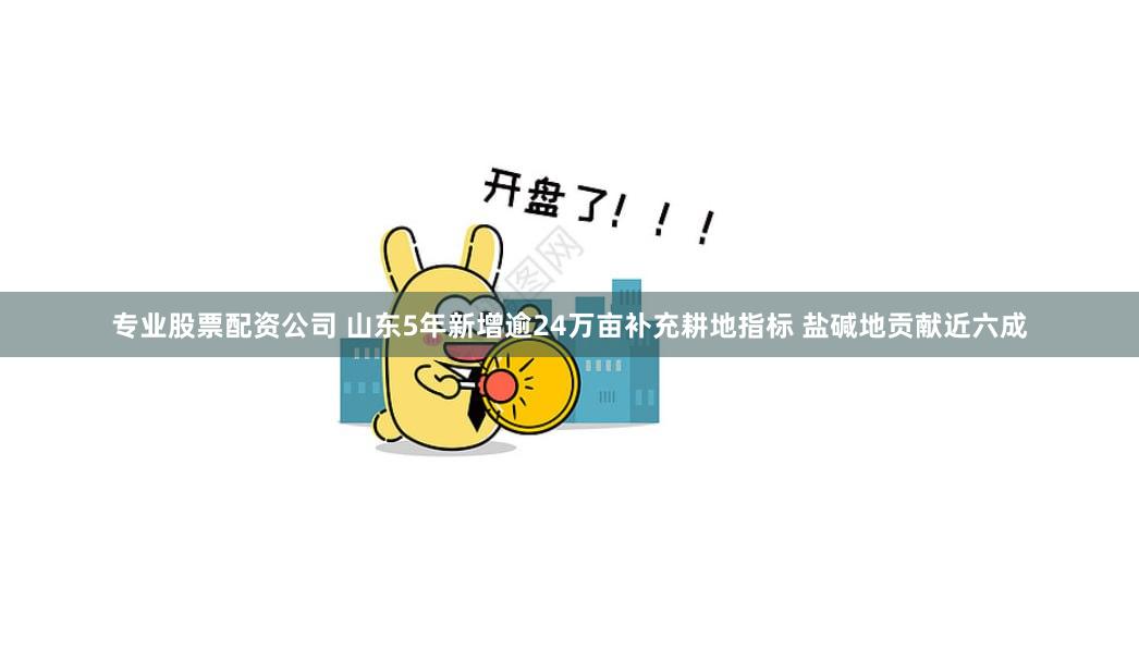 专业股票配资公司 山东5年新增逾24万亩补充耕地指标 盐碱地贡献近六成