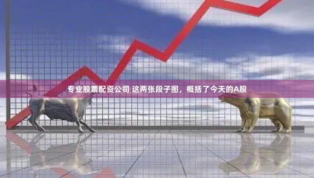 专业股票配资公司 这两张段子图，概括了今天的A股