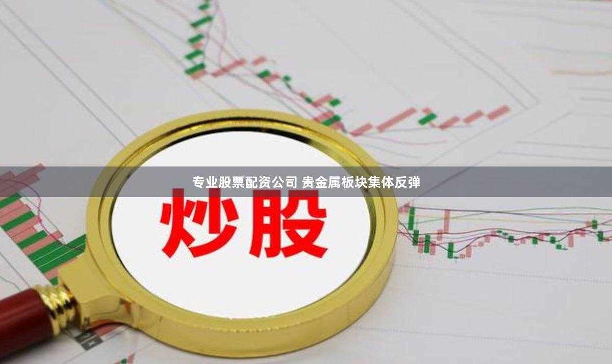 专业股票配资公司 贵金属板块集体反弹