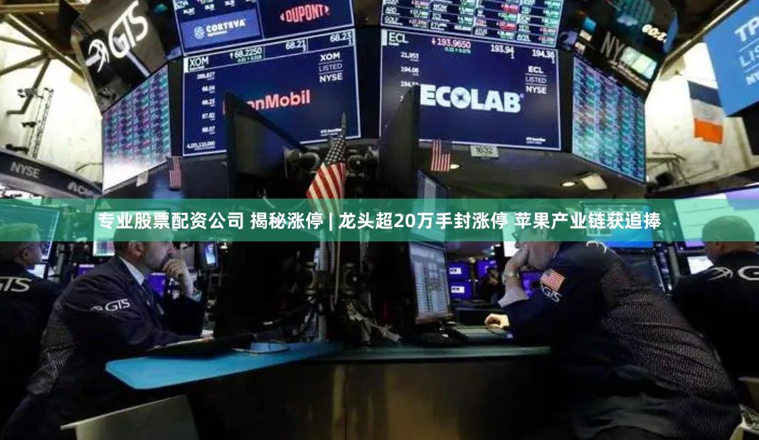 专业股票配资公司 揭秘涨停 | 龙头超20万手封涨停 苹果产业链获追捧