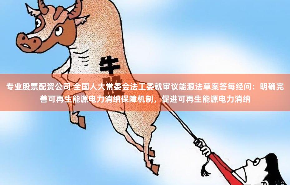 专业股票配资公司 全国人大常委会法工委就审议能源法草案答每经问：明确完善可再生能源电力消纳保障机制，促进可再生能源电力消纳