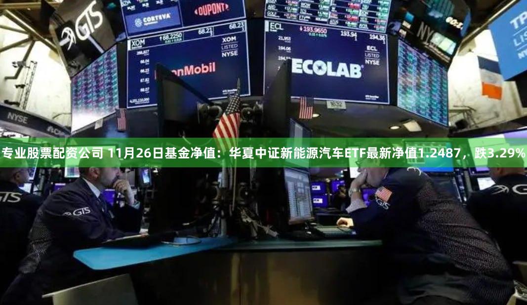 专业股票配资公司 11月26日基金净值：华夏中证新能源汽车ETF最新净值1.2487，跌3.29%
