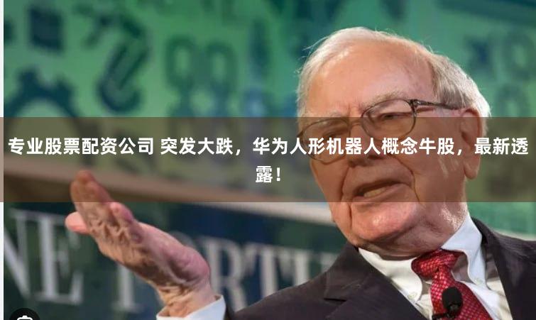 专业股票配资公司 突发大跌，华为人形机器人概念牛股，最新透露！