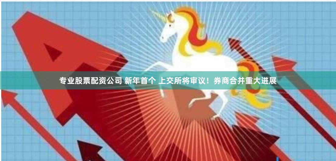 专业股票配资公司 新年首个 上交所将审议！券商合并重大进展
