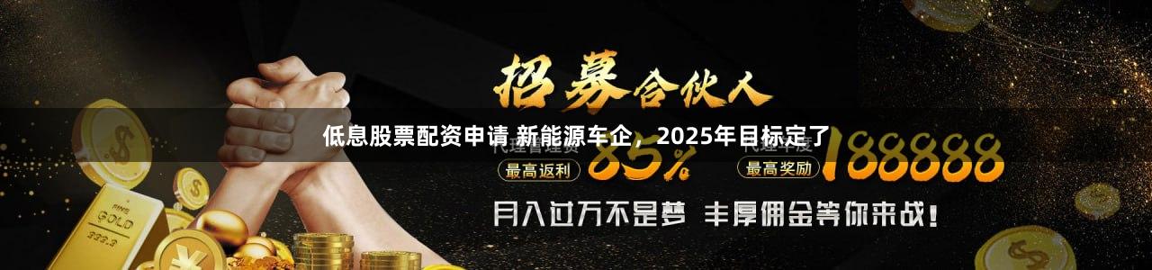 低息股票配资申请 新能源车企，2025年目标定了